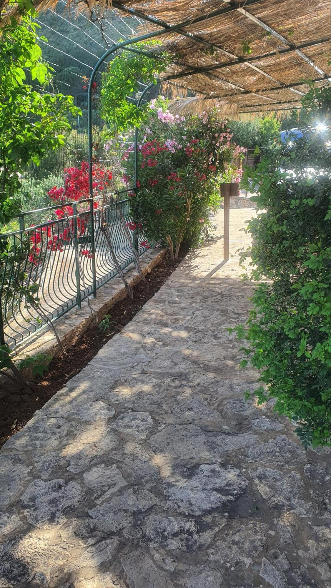 הוילה סקופלו Palma Dello Zingaro מראה חיצוני תמונה